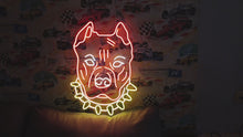 Load and play video in Gallery viewer, American Pitbull Terrier Face Neon sign, Dog Pets Neon Sign, Dog Neon Sign, Neon bulldog sign, Pitbull neon light, Custom dog neon light
